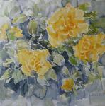 gele rozen, 30x30 aquarel (still_0067)
